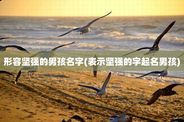 形容坚强的男孩名字(表示坚强的字起名男孩)