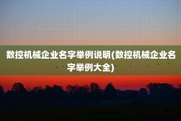 数控机械企业名字举例说明(数控机械企业名字举例大全)