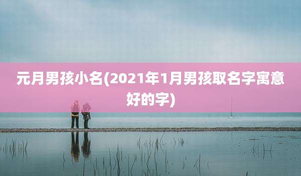 元月男孩小名(2021年1月男孩取名字寓意好的字)