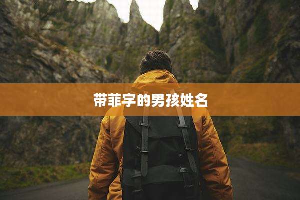 带菲字的男孩姓名