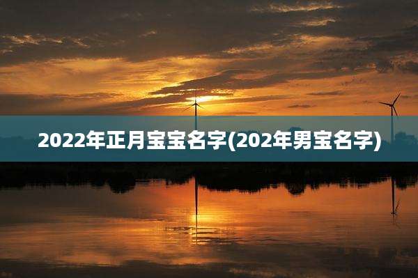 2022年正月宝宝名字(202年男宝名字)