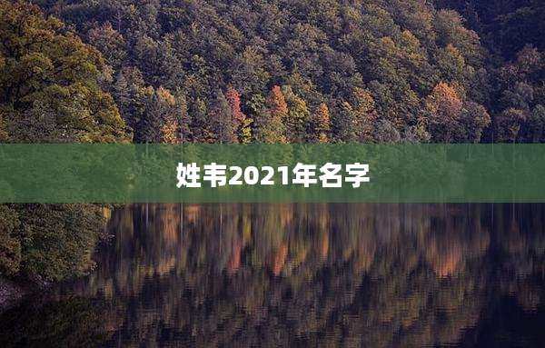 姓韦2021年名字