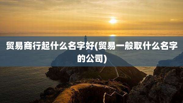 贸易商行起什么名字好(贸易一般取什么名字的公司)