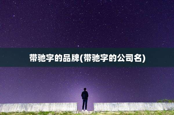 带驰字的品牌(带驰字的公司名)