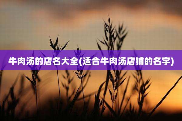 牛肉汤的店名大全(适合牛肉汤店铺的名字)