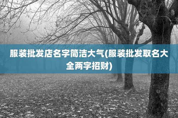 服装批发店名字简洁大气(服装批发取名大全两字招财)