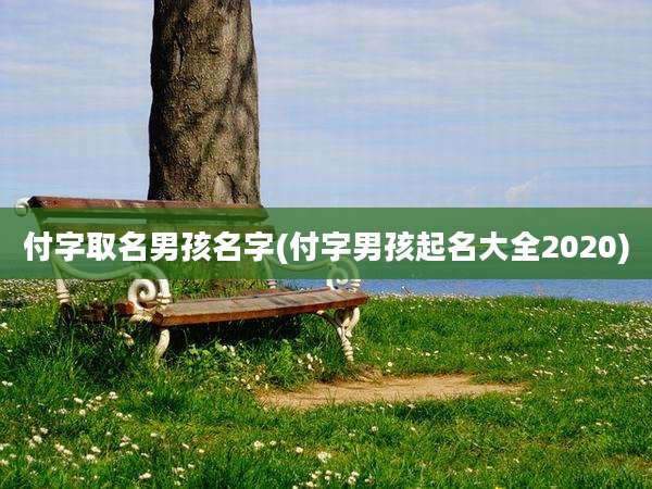 付字取名男孩名字(付字男孩起名大全2020)