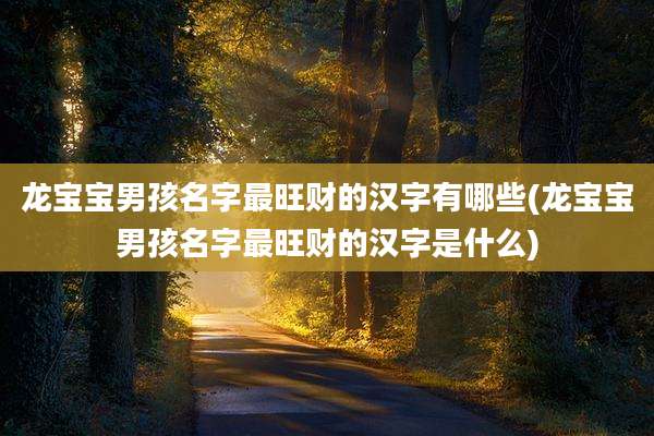 龙宝宝男孩名字最旺财的汉字有哪些(龙宝宝男孩名字最旺财的汉字是什么)