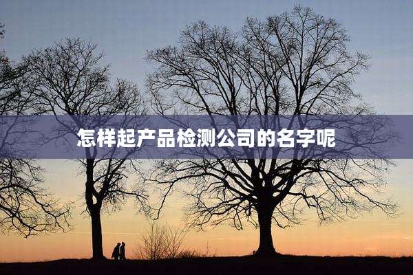 怎样起产品检测公司的名字呢