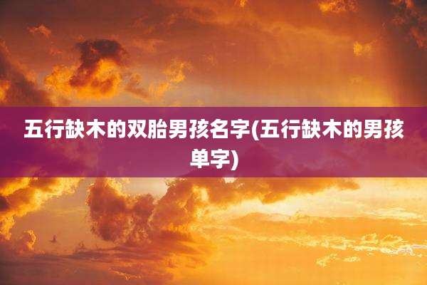 五行缺木的双胎男孩名字(五行缺木的男孩单字)