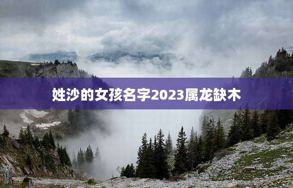 姓沙的女孩名字2023属龙缺木