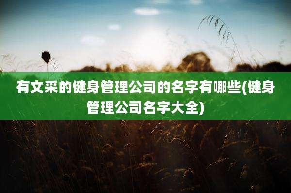 有文采的健身管理公司的名字有哪些(健身管理公司名字大全)