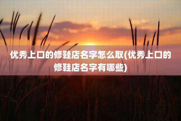 优秀上口的修鞋店名字怎么取(优秀上口的修鞋店名字有哪些)