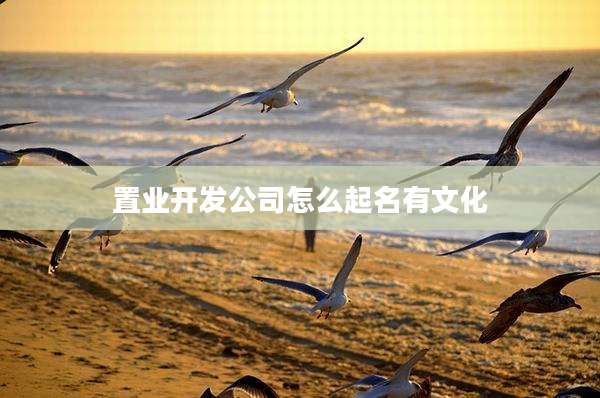 置业开发公司怎么起名有文化