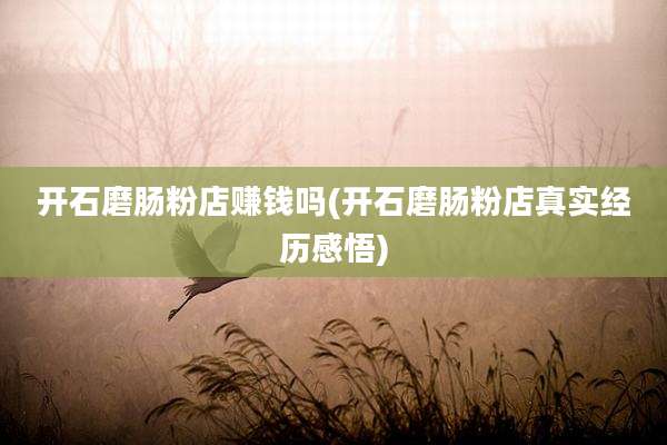 开石磨肠粉店赚钱吗(开石磨肠粉店真实经历感悟)