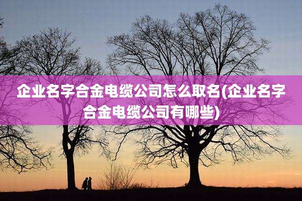企业名字合金电缆公司怎么取名(企业名字合金电缆公司有哪些)