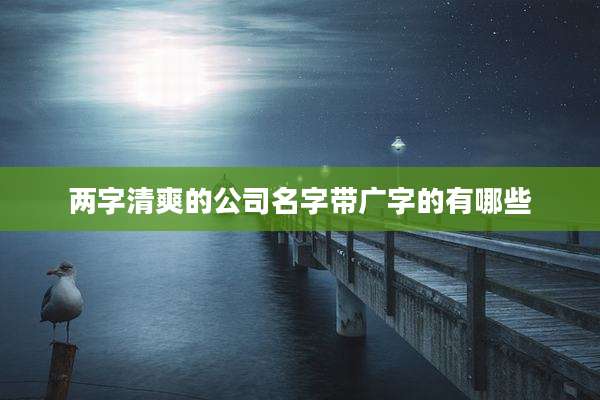 两字清爽的公司名字带广字的有哪些