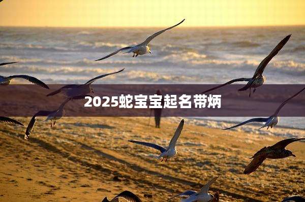2025蛇宝宝起名带炳