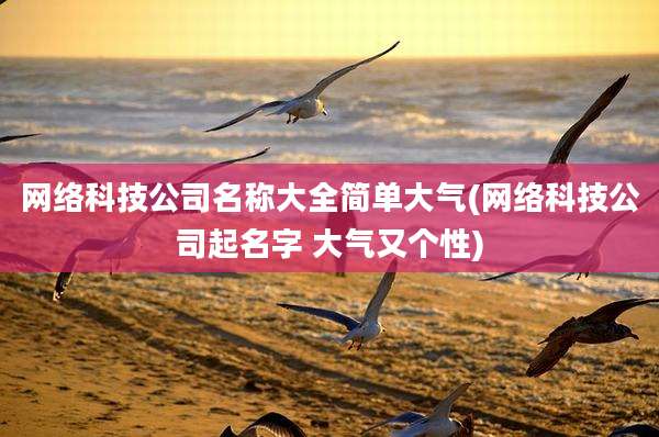 网络科技公司名称大全简单大气(网络科技公司起名字 大气又个性)