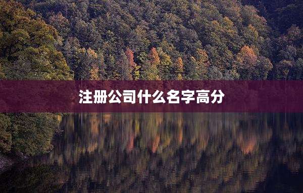 注册公司什么名字高分