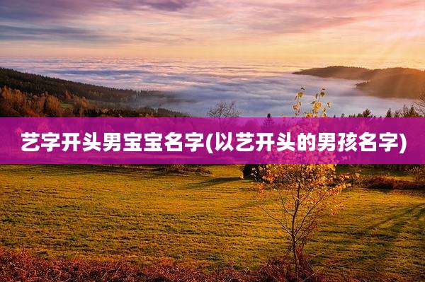 艺字开头男宝宝名字(以艺开头的男孩名字)