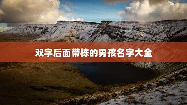双字后面带栋的男孩名字大全