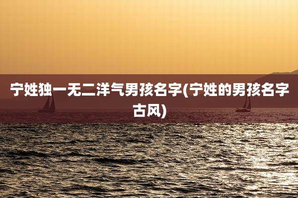 宁姓独一无二洋气男孩名字(宁姓的男孩名字古风)