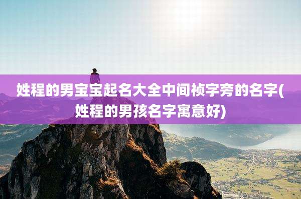 姓程的男宝宝起名大全中间祯字旁的名字(姓程的男孩名字寓意好)