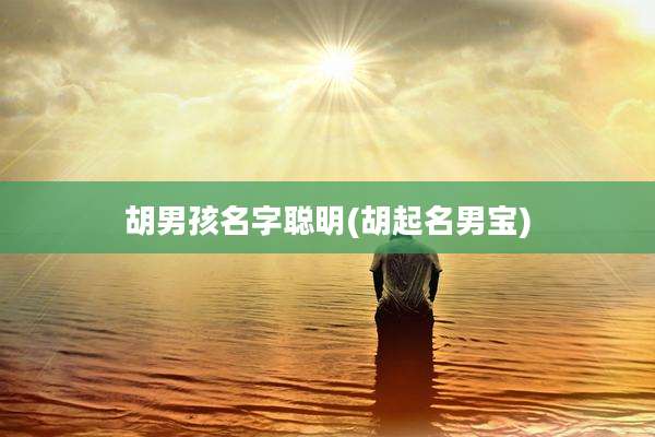 胡男孩名字聪明(胡起名男宝)