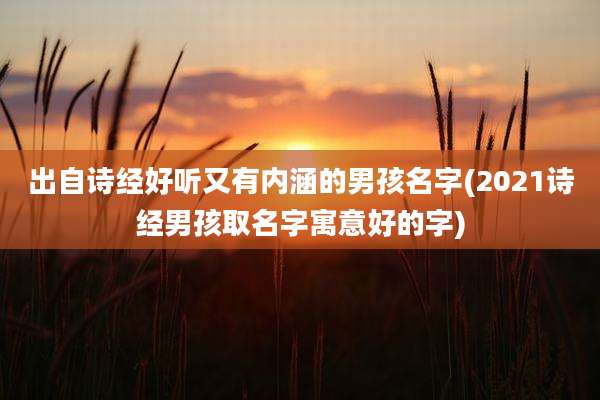 出自诗经好听又有内涵的男孩名字(2021诗经男孩取名字寓意好的字)