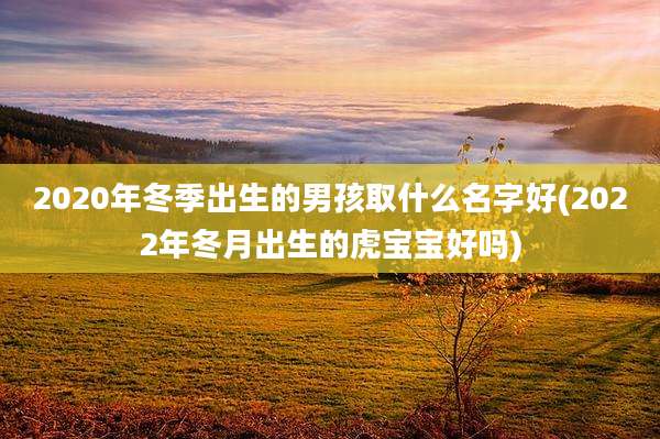 2020年冬季出生的男孩取什么名字好(2022年冬月出生的虎宝宝好吗)