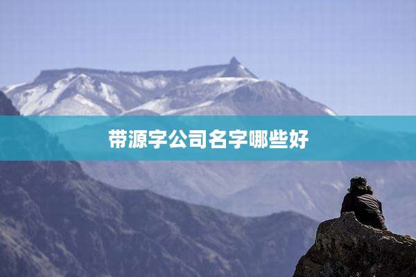 带源字公司名字哪些好