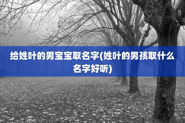 给姓叶的男宝宝取名字(姓叶的男孩取什么名字好听)