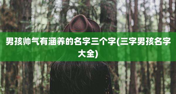 男孩帅气有涵养的名字三个字(三字男孩名字大全)