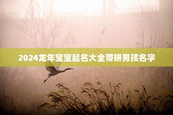 2024龙年宝宝起名大全带妍男孩名字
