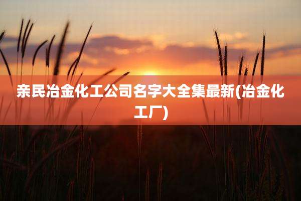 亲民冶金化工公司名字大全集最新(冶金化工厂)