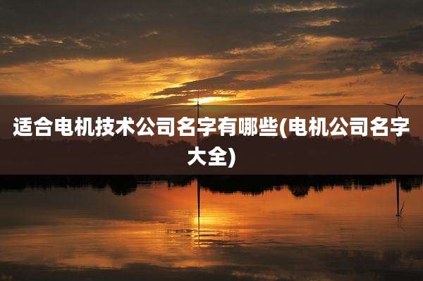 适合电机技术公司名字有哪些(电机公司名字大全)