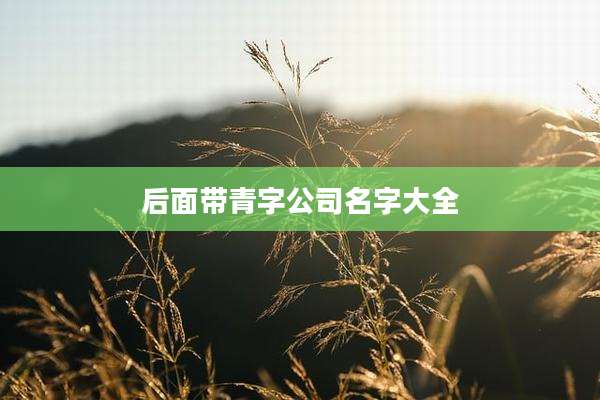 后面带青字公司名字大全