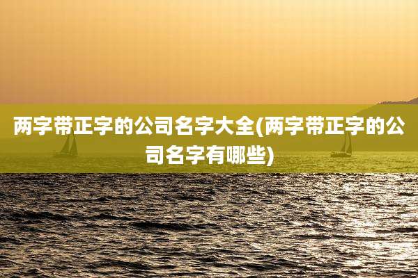 两字带正字的公司名字大全(两字带正字的公司名字有哪些)
