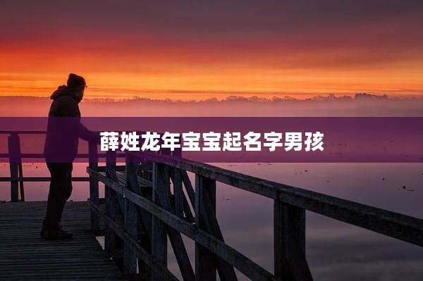 薛姓龙年宝宝起名字男孩