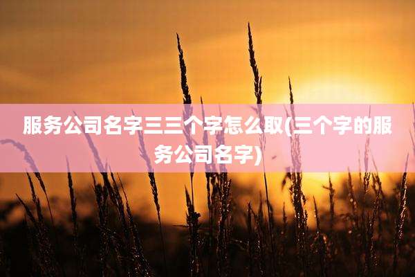 服务公司名字三三个字怎么取(三个字的服务公司名字)