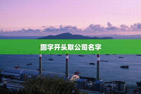 固字开头取公司名字