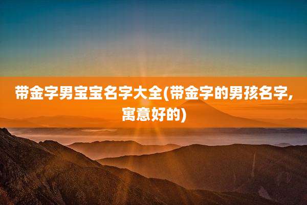 带金字男宝宝名字大全(带金字的男孩名字,寓意好的)