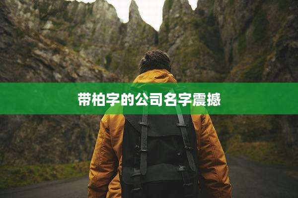 带柏字的公司名字震撼