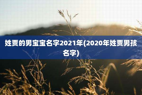 姓贾的男宝宝名字2021年(2020年姓贾男孩名字)