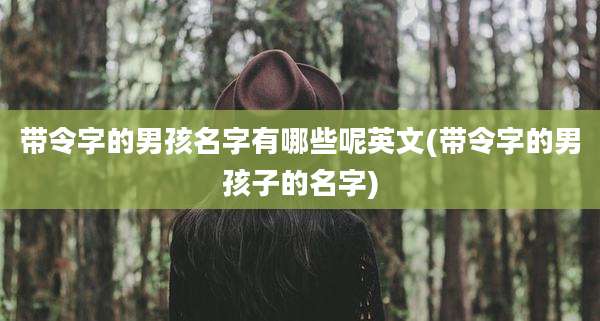 带令字的男孩名字有哪些呢英文(带令字的男孩子的名字)