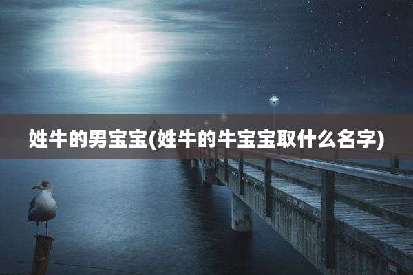 姓牛的男宝宝(姓牛的牛宝宝取什么名字)