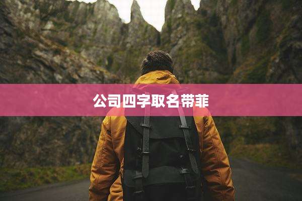 公司四字取名带菲