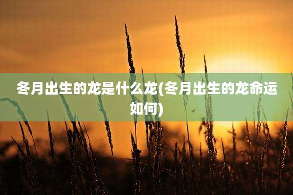 冬月出生的龙是什么龙(冬月出生的龙命运如何)