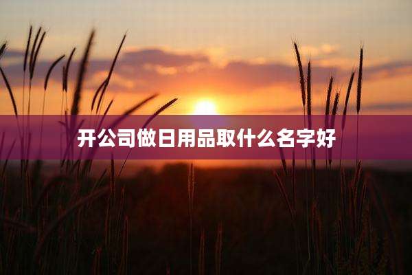 开公司做日用品取什么名字好